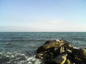 The sea
