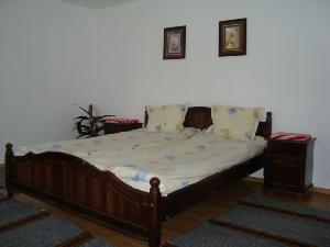 Villa Cvetina